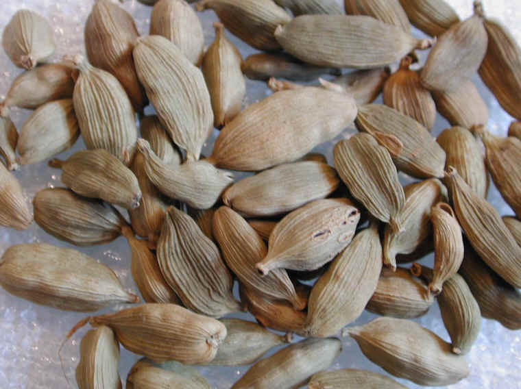 Cardamom